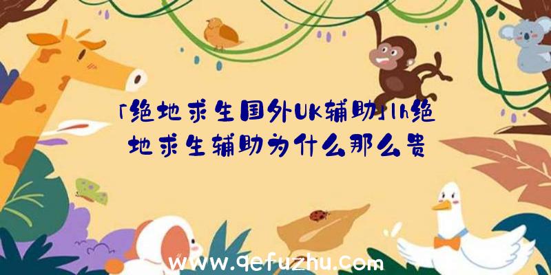 「绝地求生国外UK辅助」|h绝地求生辅助为什么那么贵
